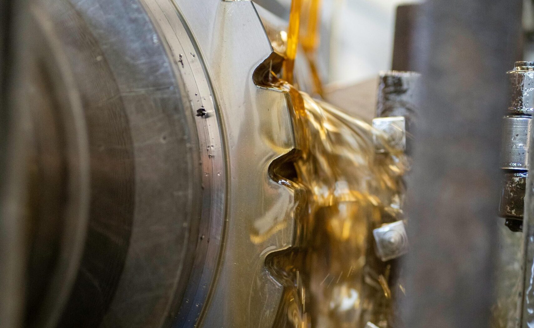 AUGUST 2025 PROMO: TRC’s End-of-Summer BOGO Special!