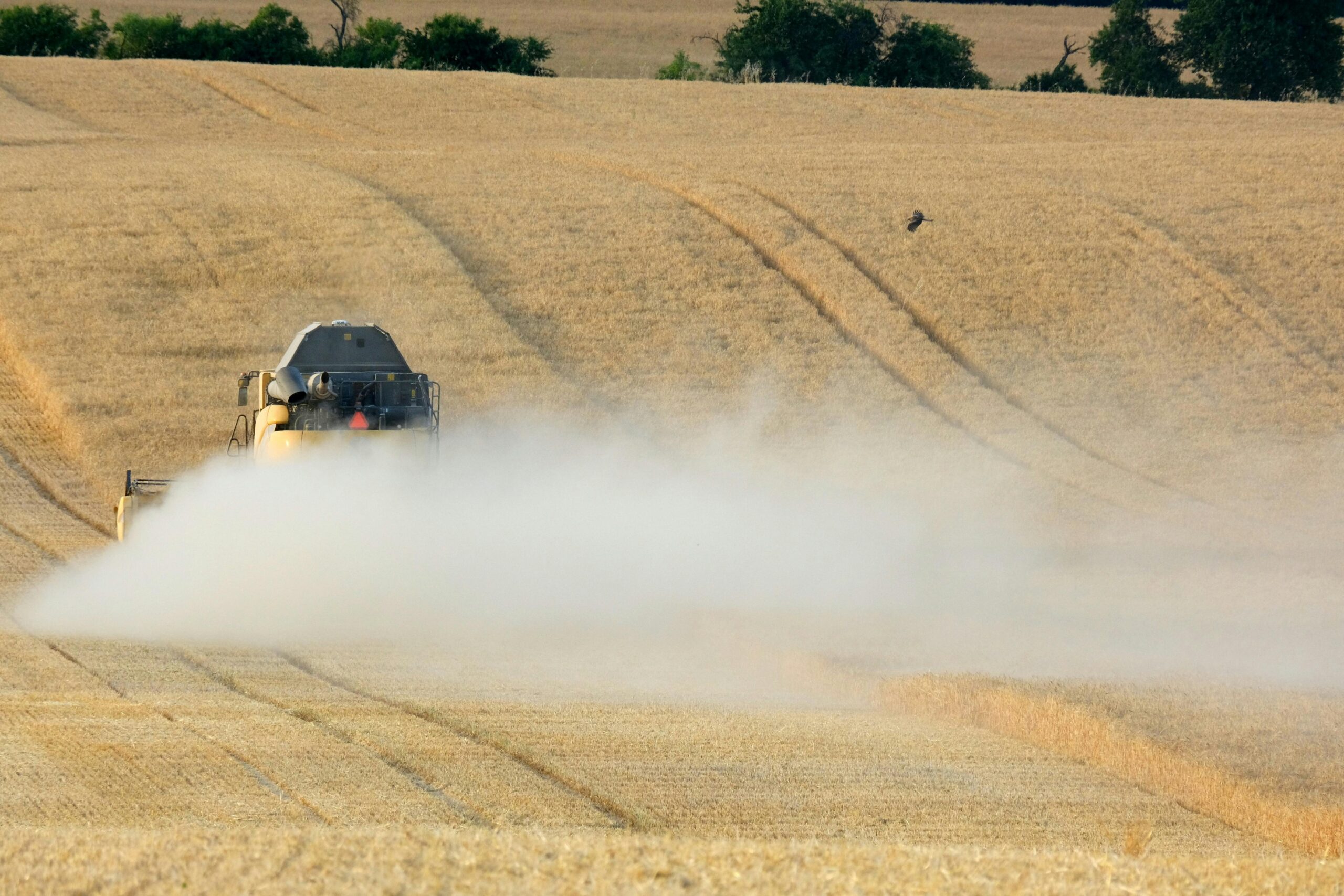 Is Your Hydraulic Fluid Causing More Problems Than It Solves?